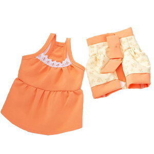    XJ[g ^ t  t ybg ̎q JWA ؍ y ʋC 㒅 o ʐ^Be Lk [X ԕ 킢 IW 