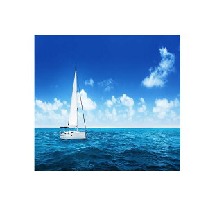 ^yXg[ C ` Ǌ| ݂艺 CeA Q rO  wi tl z A[g Vv _ R C C