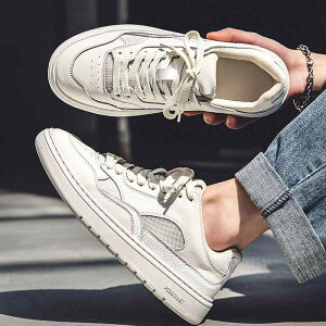 Xj[J[ Y  JWA V[Y  v ʋC  X|[cXj[J[ EhgD