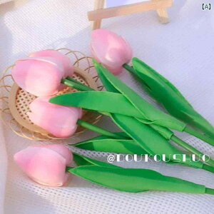 CX^ Be    `[bv  CuzM q ct ߗ Hi ʐ^ f i CeA G fBXvC 킢 sN IW  5{Zbg