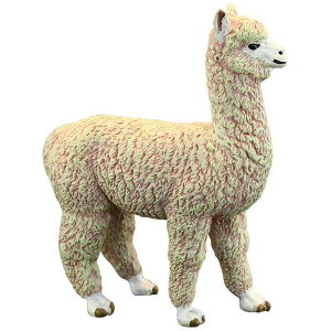 A  tBMA  ApJ ~j`A ̐} l` mߋ q Aj}  쐶  RNV CeA v[g 킢 AC{[ PVC