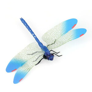 A   q LbY  ͌^ tBMA RNV ߋ fBXvC g{ m   hbL  Jt   