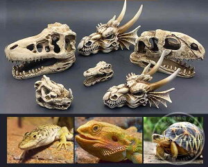 ANAE IuWF  i CeApi u CAEg I[ig ӏ B W T ঒ ƒp  W