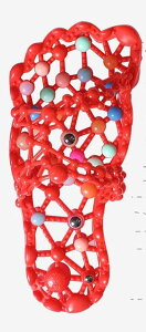 C{C{ Xbp }bT[W N fB[X ~ hL   ƒp c{ oX[ wXPA q    Vv