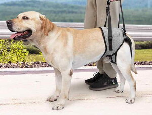 s⏕ n[lX    ybgpi ^ ^ h~ U ʋC K  EȒP ^ nr p rR T|[g `FbN O[  IW