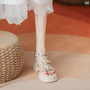 fB[X X^bY tbgV[Y \T_  킢 ꂢ 킹₷ ₷ ɂ r ʊw ʋ d x Cxg tFX W[ r[` p[