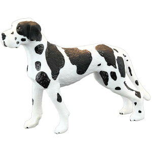  tBMA A vX`bN 􂦂 q v[g mߋ c  ~j`A fBXvC RNV u   _VA