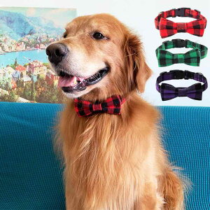    ybg lN^C O ߉\  _炩 傫TCY obN o U ʐ^ Be { `FbN ̌ Xm[t[N   