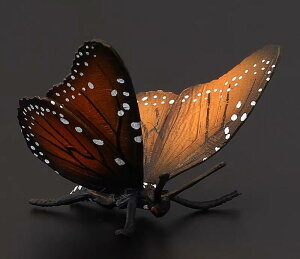   V  A  tFCN  tBMA ͌^ q ߑ  I J}L T\ ĂƂ JugV ob^  hbL ACe