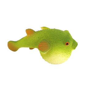    A  tFCN  tBMA ͌^ _炩 C  CJ tO j T  hbL p[eB[ObY G