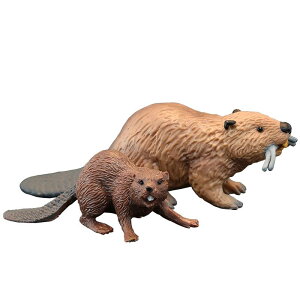  tBMA A vX`bN q v[g 􂦂 Aj} mߋ c  ꖎ ͌^ ~j`A fBXvC u  CeA G r[o[