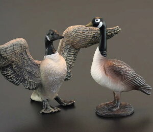 A  tBMA  K`E 쐶 mߋ ̐} Aj}  ͌^ ~j`A q  CeA v[g RNV O[  PVC