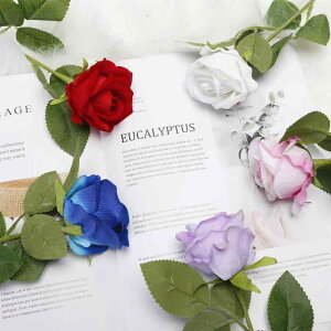 CX^ Be  o  lC SNS f Ԃ ʐ^ X^WI   o CeA G fBXvC  xxbg [Y tFCN lHϗtA A[eBtBV