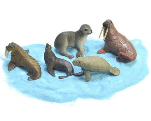 A  tBMA RNV Cm k ~j`A ̐} q mߋ l` Aj}  쐶  CeA v[g AVJ IbgZC AUV PVC