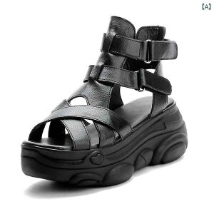 T_ fB[X  \ T}[ V[Y  킢  킹₷ ₷ Abv  Cxg tFX W[ AEghA p[eB[ f[g s