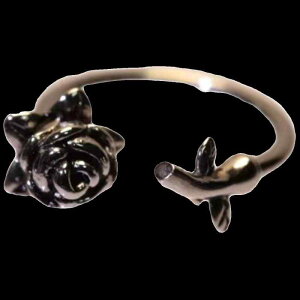 sAX   ANZT[ O bv T[L[ O X^bh   `^| fB[X g [Y I