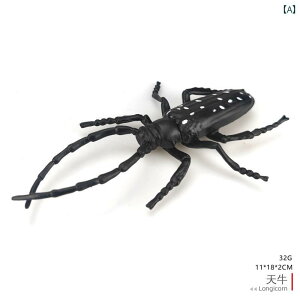   V  A  tFCN  tBMA ͌^ q Ȋw  ߋ   JG T\ ĂƂ n` 傫TCY X   hbL