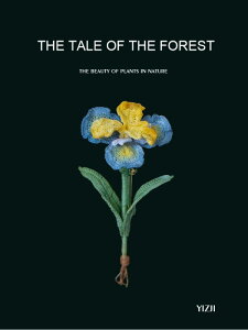 u[`  Ǝ w Zj[ fB[X ACX }CN j ҂ [X F tHXg w RT[W Mtg