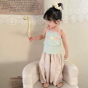 ZbgAbv ̎q  xr[ ؍ I`X^C ^Ngbv L~\[ m[X[u xXg Jj J[gD[ pc {gX  Rbg  킢 t ㉺