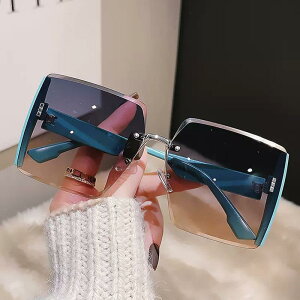 TOX fB[X X fUC UV400 ҂B 傫 XNGAt[ ubN Vv JWA s hCu |J[{l[g(x2)