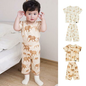 xr[ [EFA j̎q ̎q  gbvX Y{ 2_Zbg  Aj} Rbg 100% t  K 1 2 3 c pW}