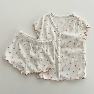 [EFA xr[ q jp ؍  V[gpc ԕ t pW} Zbg _炩 ɗD   t i  ꒅ