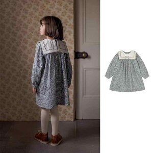 s[X K[Y   ԕ AC k cX^C JWA ig  l100%  ubNn tďH