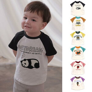 TVc LbY j̎q ̎q c w  p_ LN^[ 100% Rbg 킢  ێ t gbvX i ʉ ʊw