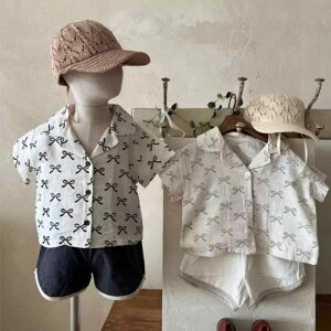 Vc LbY xr[ j̎q ̎q jp t  5 Rbg100% { ѕ ݕt _炩 ؍q JWA ig uEX AC{[ x[W