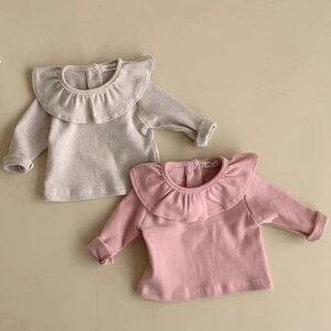 TVc xr[ ̎q  ۋ n Rbg  tH ؍ Vv  ig ɗD _炩 Jbg\[