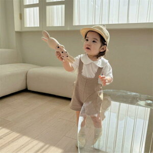 q xr[ LbY jp t ؍ Vv JWA 킢  Rbg 100% Tybg I[o[I[ V[gpc o ig j[gJ[