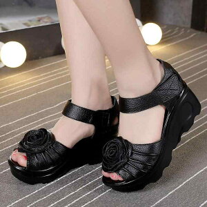 T_ fB[X p {v EFbW\[  vbgtH[ I[vgD OfBG[^[ GXjbN  t[`[t {`[t g K ₷ 