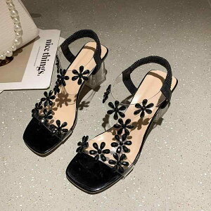 T_ fB[X t XNGAgD NX^q[ CXg[ t[`[t SXgbv ~[ ig o ][g ؂₩ GKg ₷