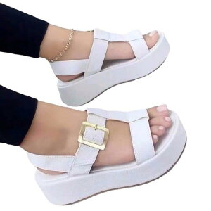 T_ fB[X vbgtH[  EFbW\[ TXgbv ĕ JWA tFCNU[ K NbV ₷ 傫TCY zCg ubN sN uE