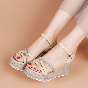 T_ fB[X p EFbW\[  I[vgD OfBG[^[  v obN t JWA O ig ][g ɂ AC{[ CG[