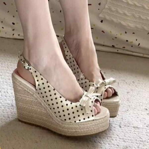 T_ fB[X p EFbW\[  vbgtH[ 킢 { obNXgbv I[vgD Cq[ V[Nbgq[ W[g ҂  hbg {v 