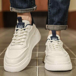 Xj[J[ Y jp rWlX X|[c JWA tFCNU[ yʌSEVA\[ bVn EhgD ig ʋΒʊw I[V[YΉ