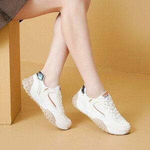 Xj[J[ fB[X K hCrOV[Y ^]ƋKp _炩\[ tbgq[ [XAbv EhgD [Jbg ؂ւfUC PUf  o[\[ ϖ