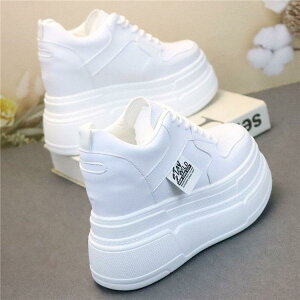 Xj[J[ fB[X Xj[J[  Cq[ vbgtH[\[ g r r _炩ȗSn NbV ϋv \ JWA t