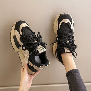 Xj[J[ fB[X  V[Nbg g JWA \tg\[ \ w _bhV[Y tH v EhgD o[\[ ʋC [XAbv ig ʋΒʊw  