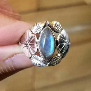 w fB[X g  t[ `[t I  dCbLH AeB[NVo[F t@bV ANZT[ ig  lJWA 茳 ANZg t