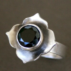 w fB[X ĕ g Ԃ I Vv  dCbLH 􉽊w͗l AeB[NVo[J[ ig o  WG[