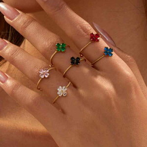 w O fB[X p XeX lt̃N[o[ I[vO GKg i  CgOWA[  ig   sN   