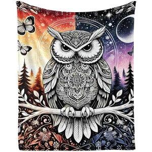 uPbg lp qp LbY tNE tl ѕz \tg _炩 ӂ Ђ| |GXe y g I[V[Y \t@ xbh `FA ԓp ItBX r