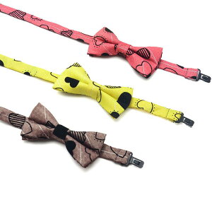 lN^C q LbY xr[ c w j̎q ̎q ؍ J[gD[   F {E^C {^C tH[} JWA  킢 |GXe   