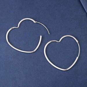  fB[X S925 n[g` t[vsAX Vo[J[ dグ Vv `X^C jb`fUC  ʋ ItBX