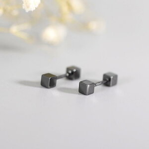 sAX Y fB[X S925 Vo[ANZT[ 􉽊w XNGA lp  ubN H N[ Vv g _ i X^CbV ig ItBX JWA 