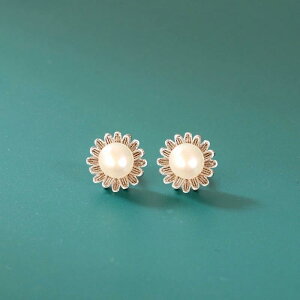 sAX fB[X Vo[925 X^[OVo[ S925  qiMN fCW[ t[ p[ p[ Lp[ GXjbN  g AeB[N Be[WH IfU