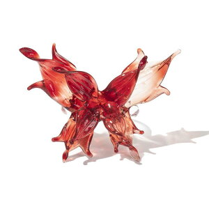 w jZbNX X`[t  KX nhCh @ y₩ D tFA[ I  킢 XEB[g f[g ig T}[ANZT[