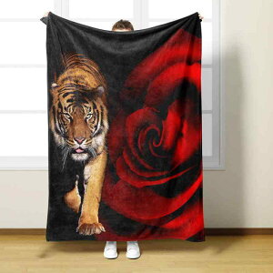 ѕz Օ ^CK[ 3Dvg fW^vg tl VO uPbg |GXe I[V[Y CX^  \t@Jo[ Ђ| Q g _炩 y